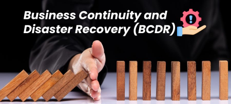 Business Continuity and Disaster Recovery (BCDR)